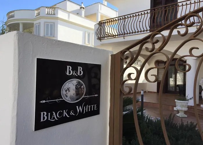 B&B Black-And-White Gallipoli